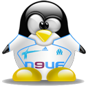 Penguin pingouin pinguino 203